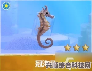 潜水员戴夫冠海马位置探索指南