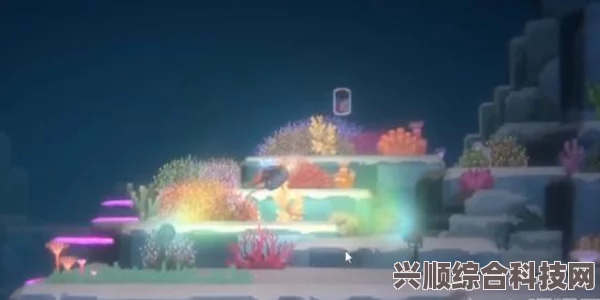 潜水员戴夫鬼蝠鳐的拍照攻略，如何捕捉完美瞬间？