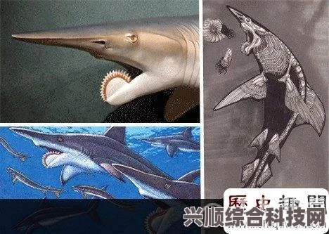潜水员戴夫旋齿鲨攻略，掌握技巧，轻松战胜深海巨兽