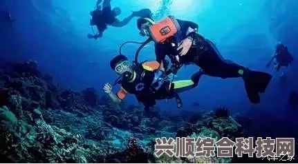 蛋仔派对蛋仔岛的夏天体验与蛋仔岛分岛新地图探秘