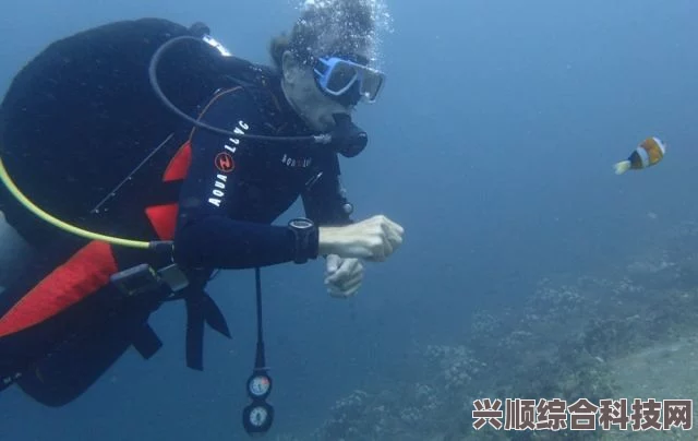 潜水员戴夫虎尾海马捕捉指南及红宝石海马位置揭秘，珍稀鱼类探索攻略