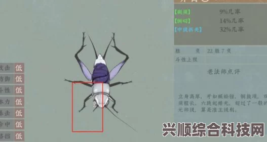 沉默的蟋蟀，如何精准挑选蟋蟀？技巧全解析