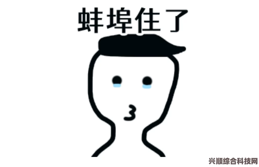 网络热词解析，难蚌——深度解读其含义与来源