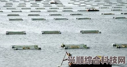 潜水员戴夫全池塘养鱼攻略，最佳养鱼推荐与策略指南，助你成为养鱼达人！