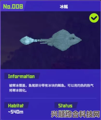 潜水员戴夫冰鳐捕捉攻略，技巧与策略