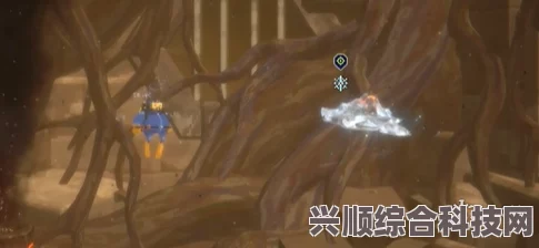 潜水员戴夫熔岩龟捕捉攻略及技巧分享