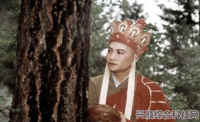 唐僧师徒的传奇西行之旅，磨难与桃源深处的萝卜之谜