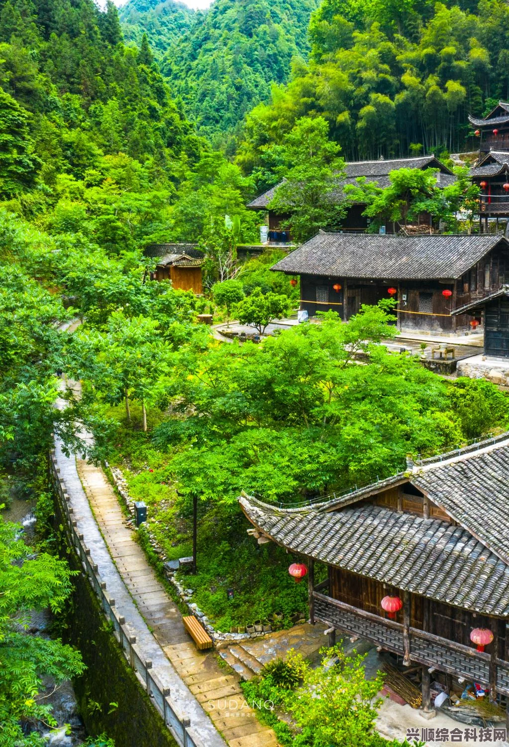 桃源深处有人家声闻若三日攻略，探索与生存指南