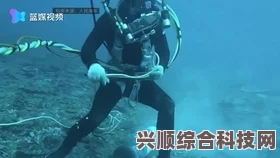 潜水员戴夫，鳗鲶和瘤鲷的隐秘位置指南